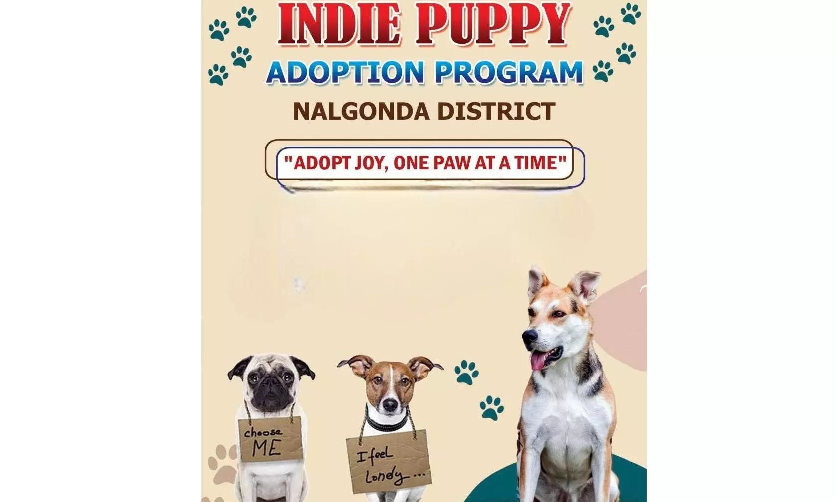 Nalgonda Urges Pet Lovers to Adopt Stray Dogs