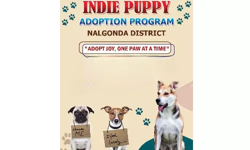 Nalgonda Urges Pet Lovers to Adopt Stray Dogs