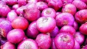 Kurnool Farmers Hit Due To Long Shelf-Life Maharashtra Onions