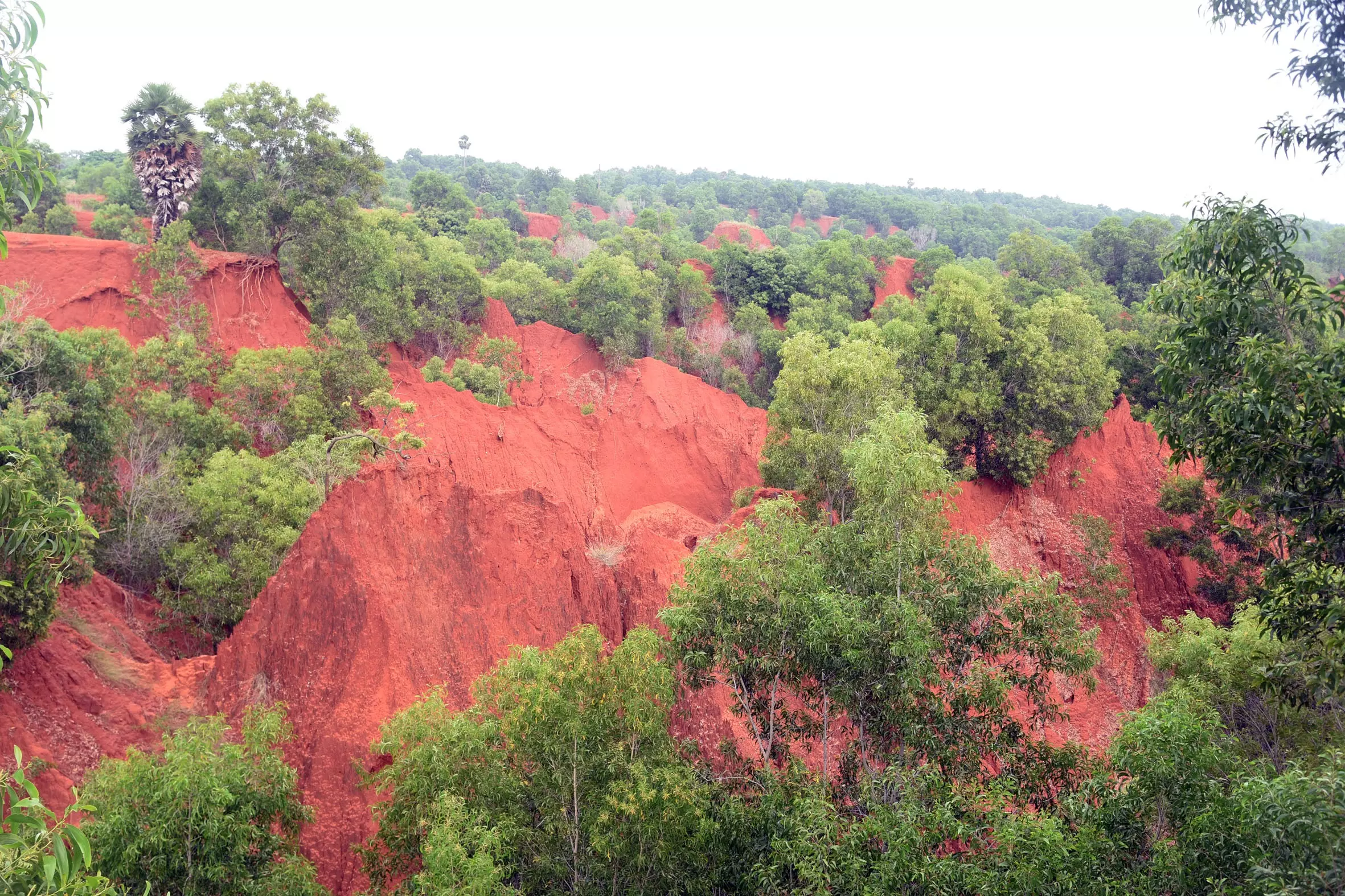 Tirumala Hills, Vizag Erramatti Dibbalu, Reach UNESCO Tentative List Tirumala Hills, Vizag Erramatti Dibbalu, Reach UNESCO Tentative List