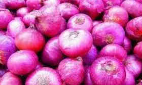 Kurnool Farmers Hit Due To Long Shelf-Life Maharashtra Onions