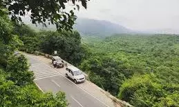 Pilgrims Escape Landslide On Nallamala Ghat Road; Darshan Temporarily Halted