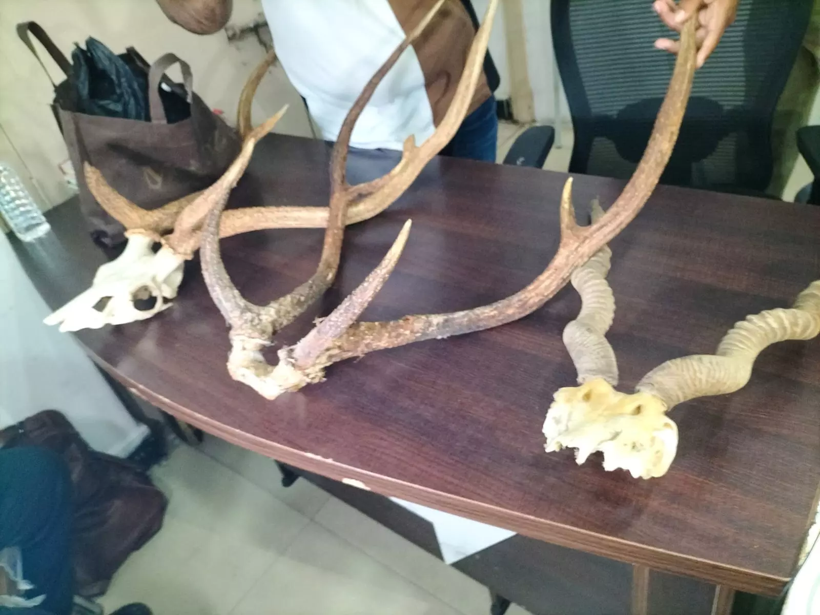 Doctor, Realtor Arrested With Deer Meat in Hyderabad Doctor, Realtor Arrested With Deer Meat in Hyderabad