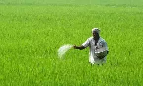 Urea To Be Distributed In Sirpur From Today