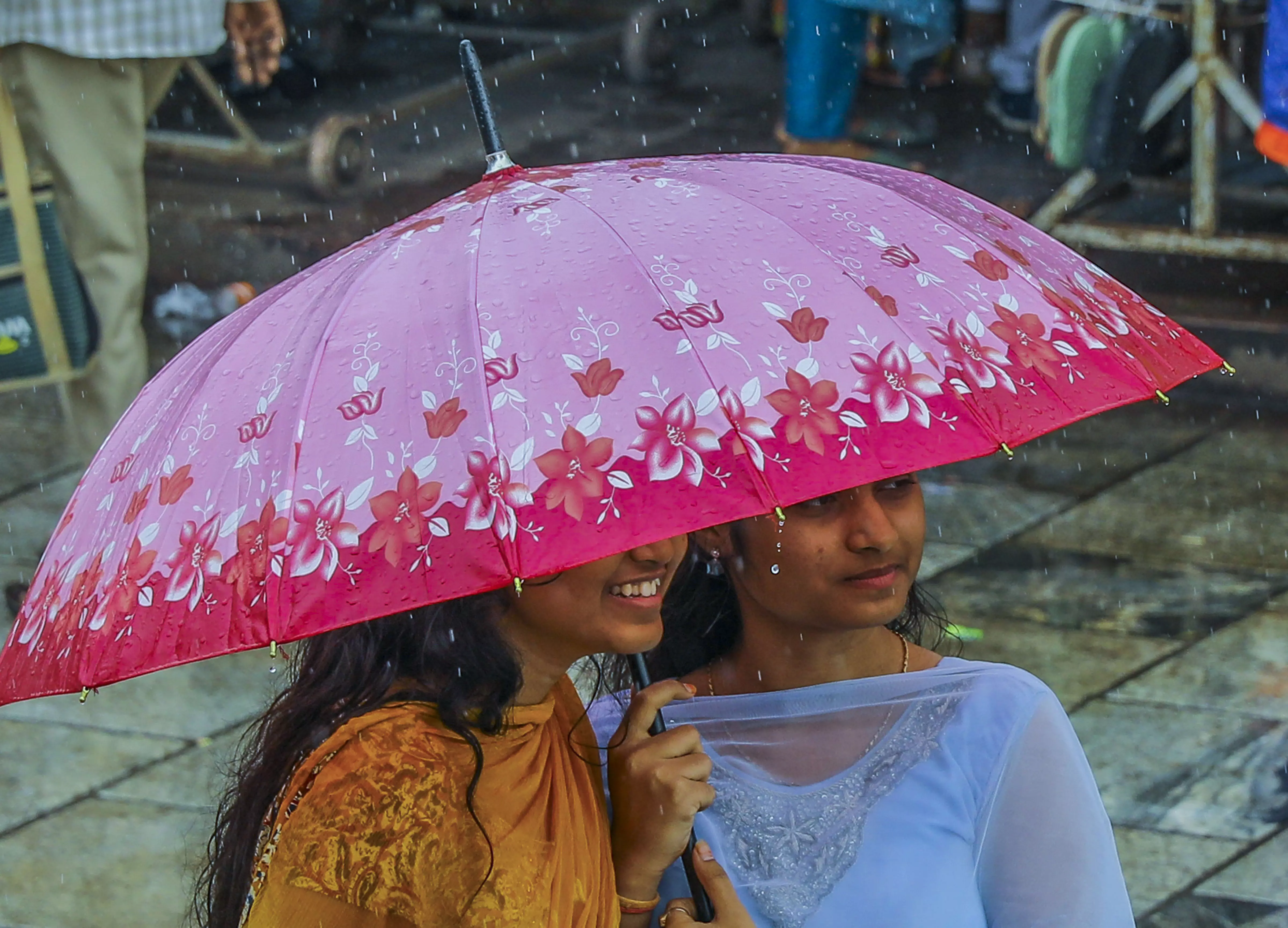 Narayanraopet in Siddipet Records Highest Rainfall at 245.5 mm