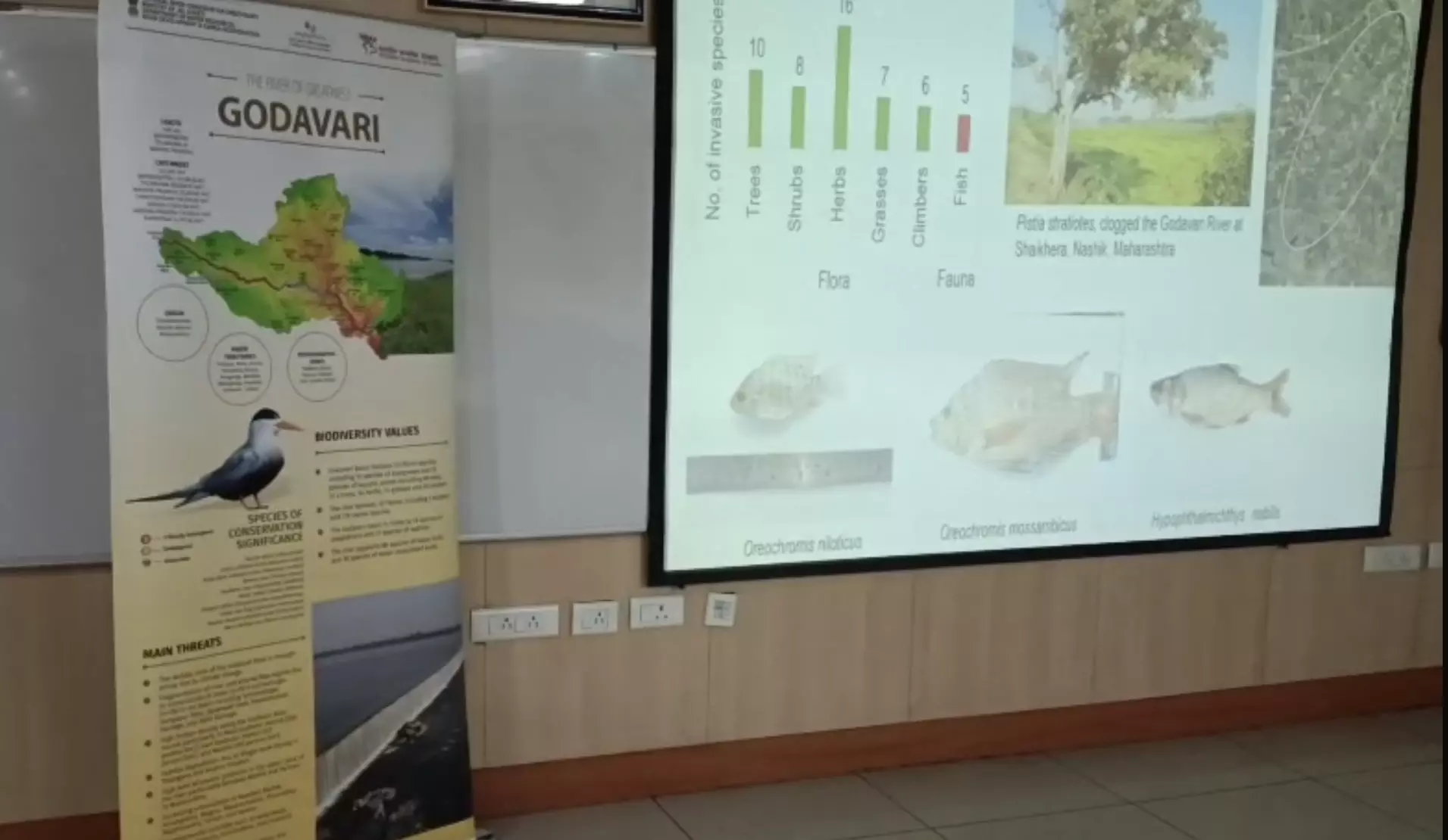 WII Warns of Dangerous Chemicals in Godavari