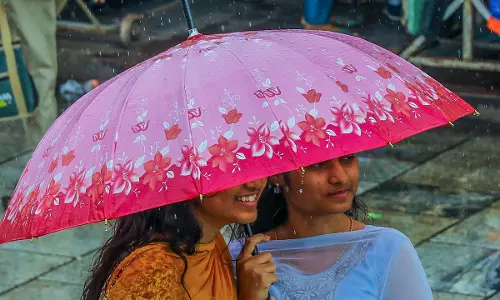Narayanraopet in Siddipet Records Highest Rainfall at 245.5 mm