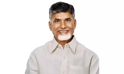 Naidu Says US Tariffs Hit Andhras Shrimp Exports with Rs 25,000 Cr Loss, Seeks Centres Aid