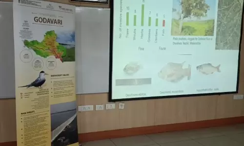 WII Warns of Dangerous Chemicals in Godavari