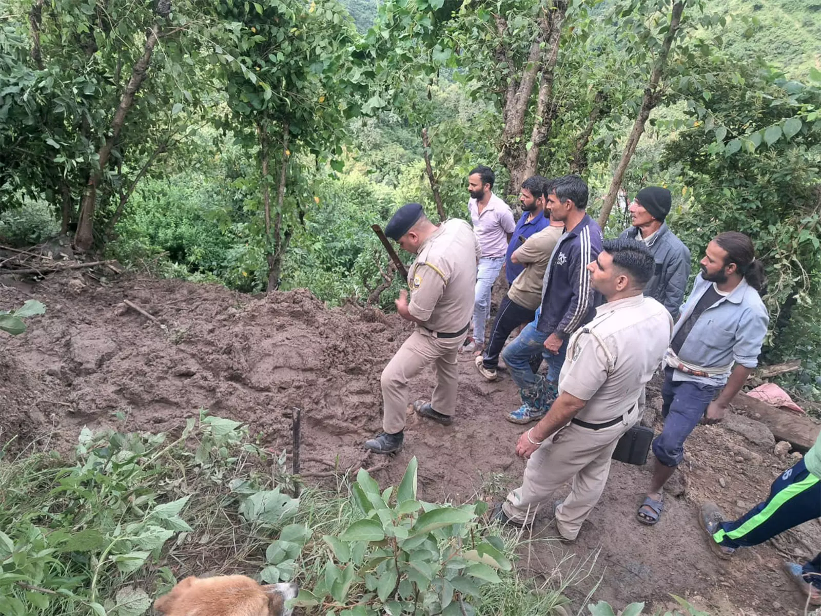 3 Dead as Landslide Hits Himachal’s Mandi