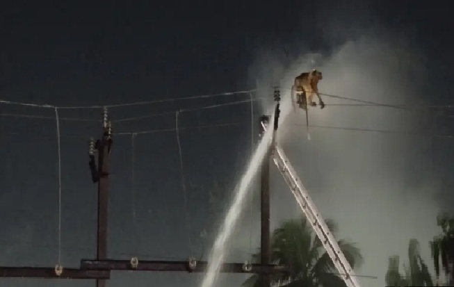 Monkey Rescued After Three Hours on Electric Pole in Cuttack