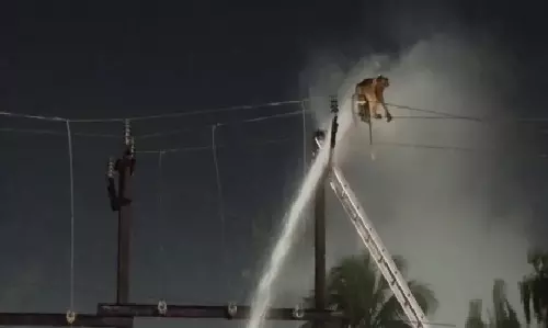Monkey Stranded On Electric Pole In Cuttack, Rescued After 3 hours Monkey Stranded On Electric Pole In Cuttack, Rescued After 3 hours