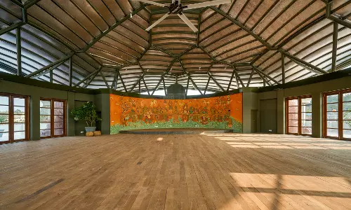 Where Taste Meets Therapeutic Nutrition