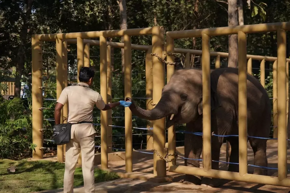 Vantara Sets Global Benchmark in Animal Care