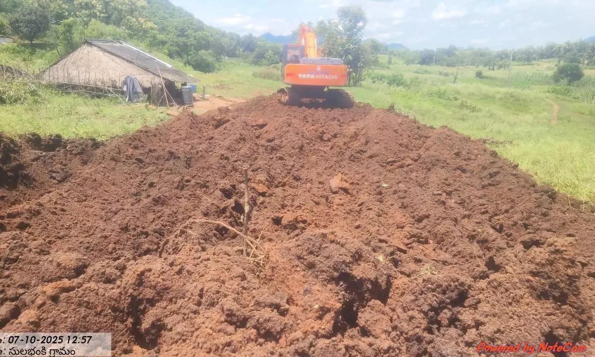 No Forest Clearance Halts Road That Minister Lokesh Okayed