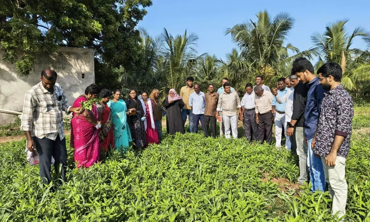 Tamil Nadu Delegation Studies Natural Farming in Prakasam District