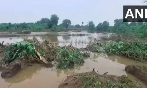 Maharashtra: Cloudburst Hits Jalgaon, 10 Villages Affected
