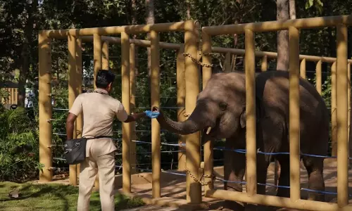 Vantara Sets Global Benchmark in Animal Care