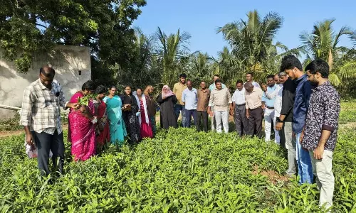 Tamil Nadu Delegation Studies Natural Farming in Prakasam District