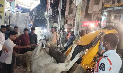 Hyderabad Traffic Cops Perform Cow’s Last Rites
