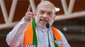 Opposition Yatra is to Back Illegals: Shah