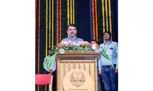 Maharashtra to Unveil Industrial Bamboo Policy