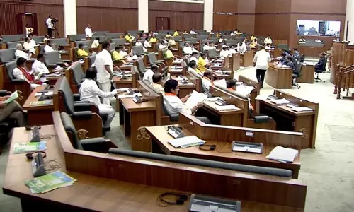 Council Ruckus Over Protocol violation