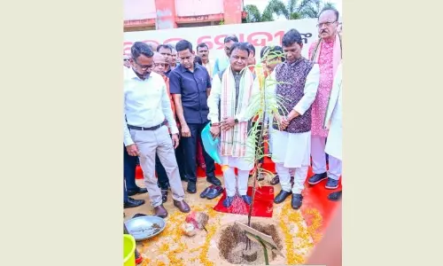 Odisha CM Leads Green Drive In Assembly After Record-Breaking Plantation Feat