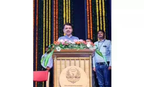 Maharashtra to Unveil Industrial Bamboo Policy