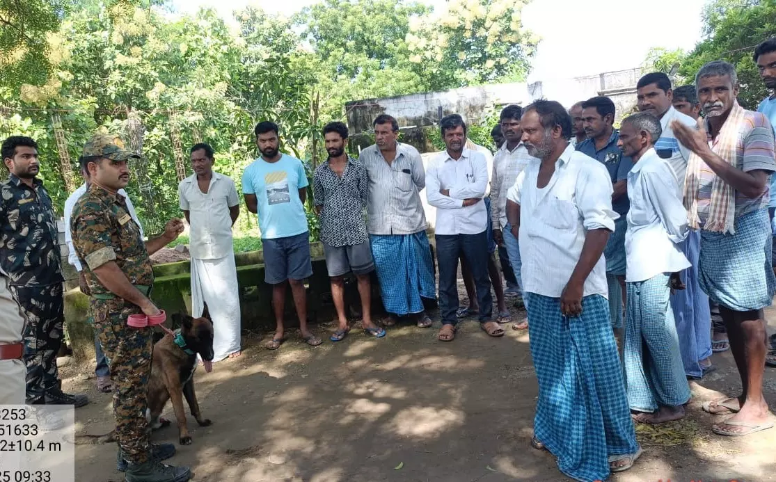 Wood Smugglers Panic as Hunter Joins Kawal Patrol