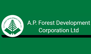 AP Forest Department Plans Radio Collars for Elephant Monitoring