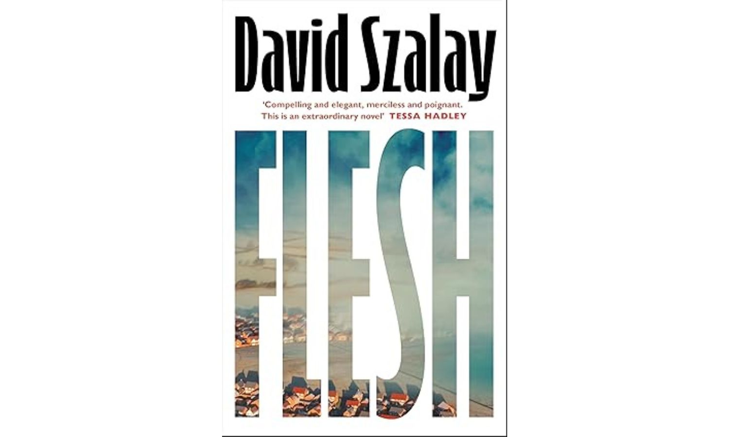 Book Review: David Szalay's Novel 'Flesh' Explored