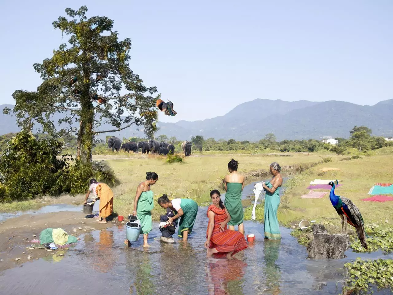 Ramani Mylavarapu’s Roots to Rivers Opens At Bikaner House