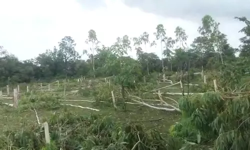 Villagers Detain Officials over Mass Tree Felling In Manala Village Villagers Detain Officials over Mass Tree Felling In Manala Village