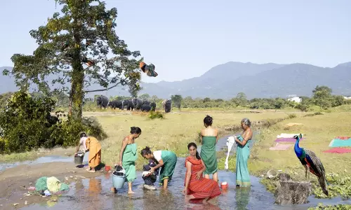 Ramani Mylavarapu’s Roots to Rivers Opens At Bikaner House