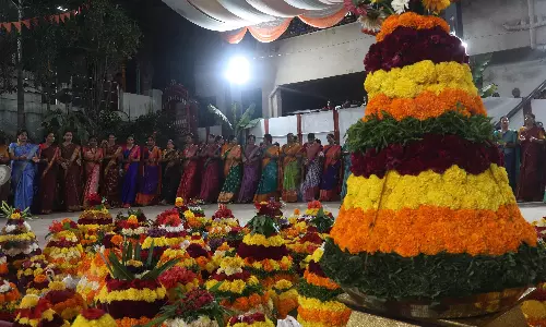 9 Days of Fun, Frolic, Devotion