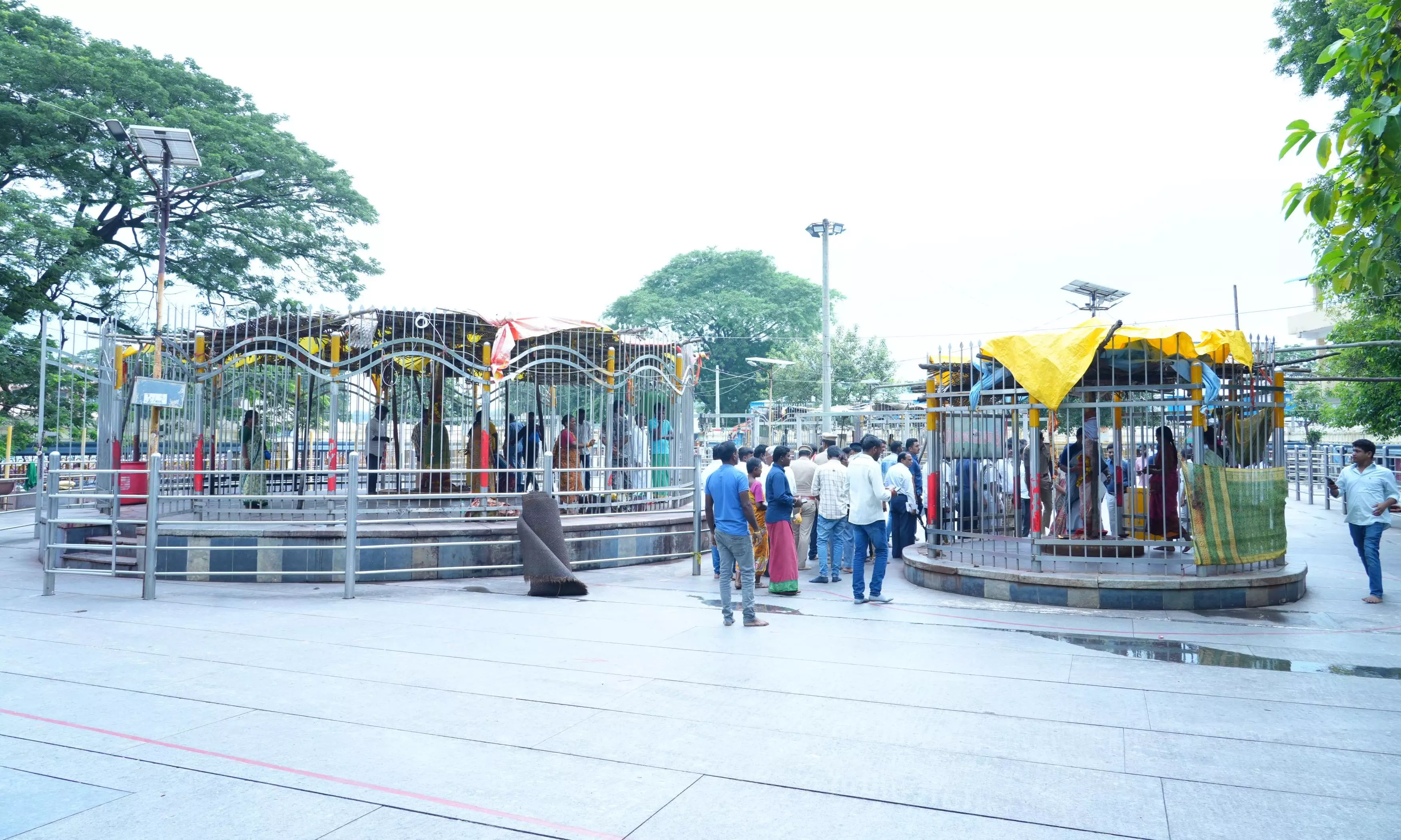 Seethakka Reviews Arrangements For CM’s Medaram Visit