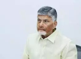 MLAs To Visit Agricultural Fields From October, Says AP CM
