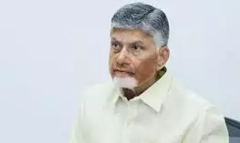 MLAs To Visit Agricultural Fields From October, Says AP CM