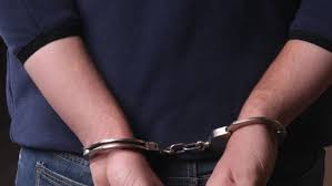 Pharmacist Granted Bail in Cattle Theft Case