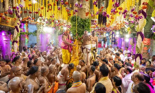 Golden Chariot Procession Marks Second Day Of Vasanthotsavam In Tirumala