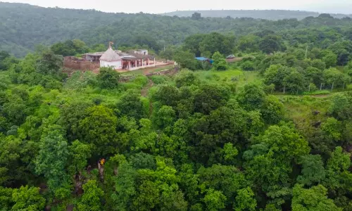 Gottam Gutta Waterfalls – Telangana’s Best-Kept Secret