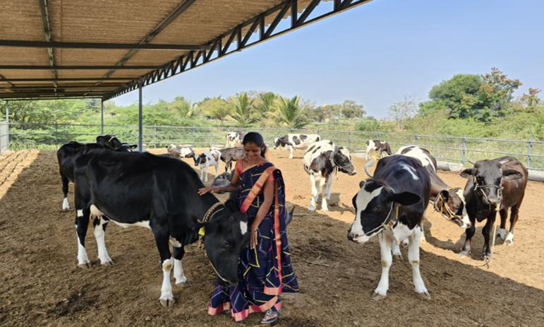 Abbott's Project Ksheersagar Boosts Indian Dairy Farmers