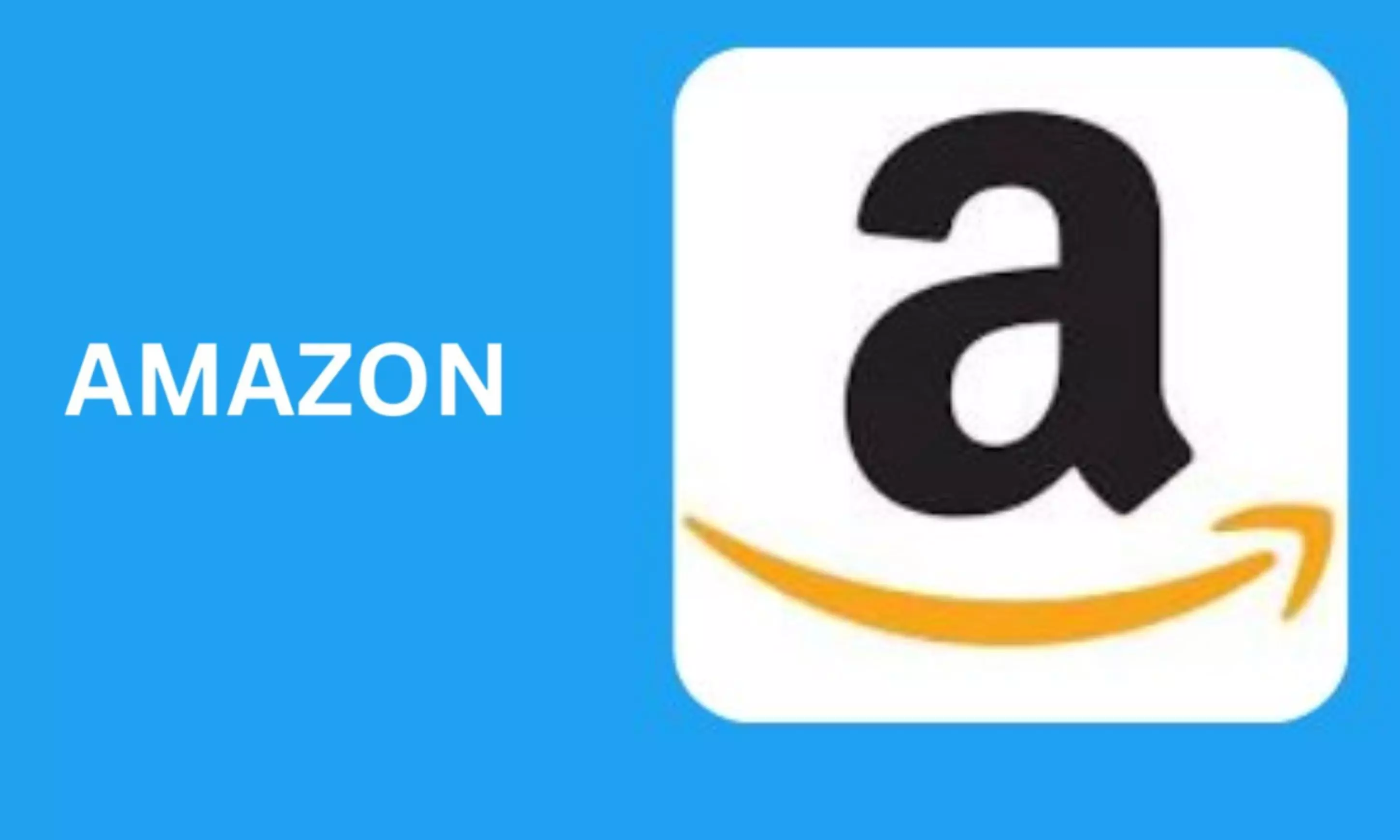 Lawmakers Seek Answers From Major US Firms Over H-1B Visa Use Amid Layoffs