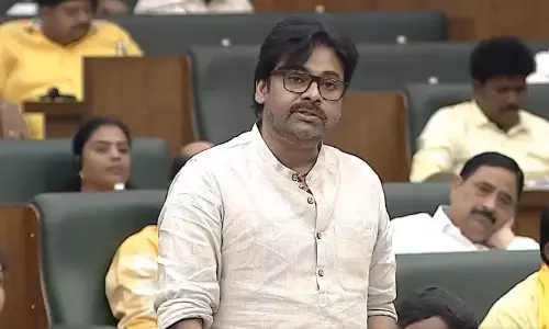 Panel Set Up to Study Fishermen Issues: Pawan Kalyan