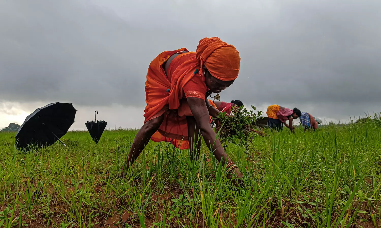 Natural Calamities Ravage 605 Lakh Hectares in Maharashtra, Govt Pays ₹54,600 Cr Relief