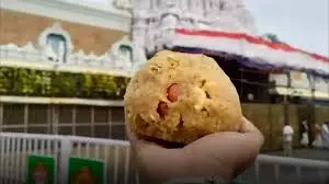 Tirupati Laddu Row: SC Stays AP HC Order Faulting CBI Over Probe