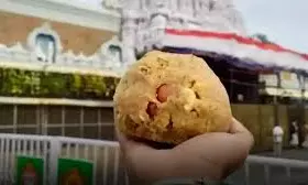 Laddu Ghee Case: SIT Makes First Arrest Within TTD