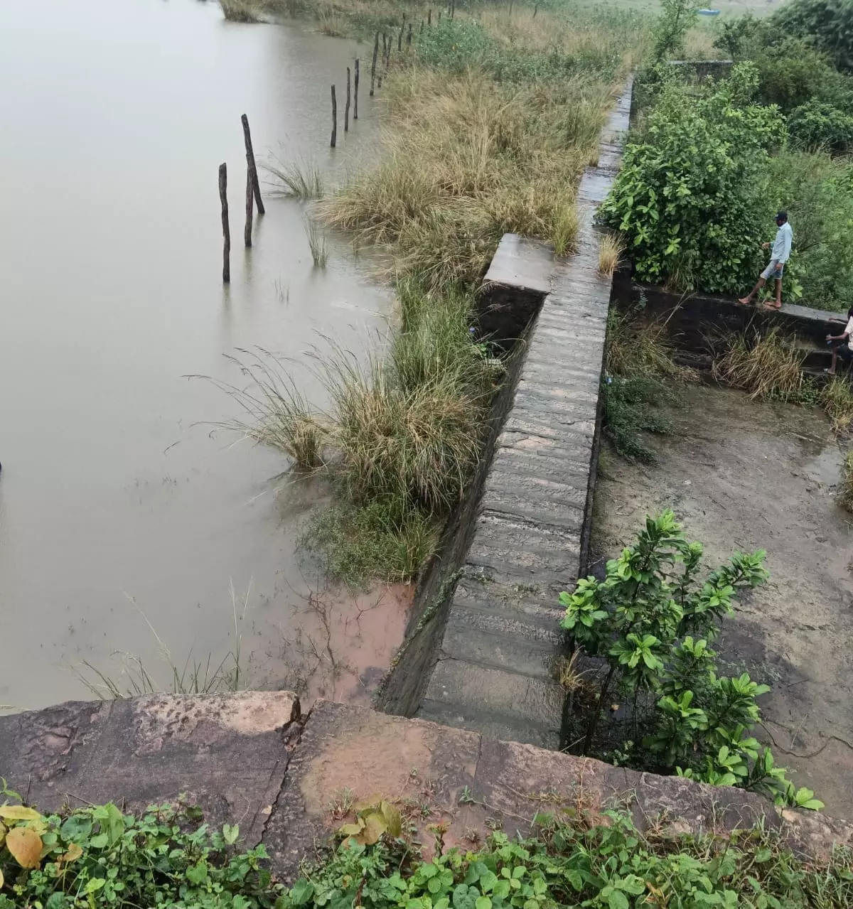 Fake Flood Video Leads to Panic in Bhupalpally District