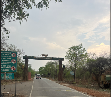 Elevated Corridor Planned Over Amrabad Tiger Reserve